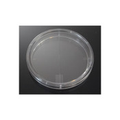 Petri Dish, 100 x 15 mm (I-Plate)